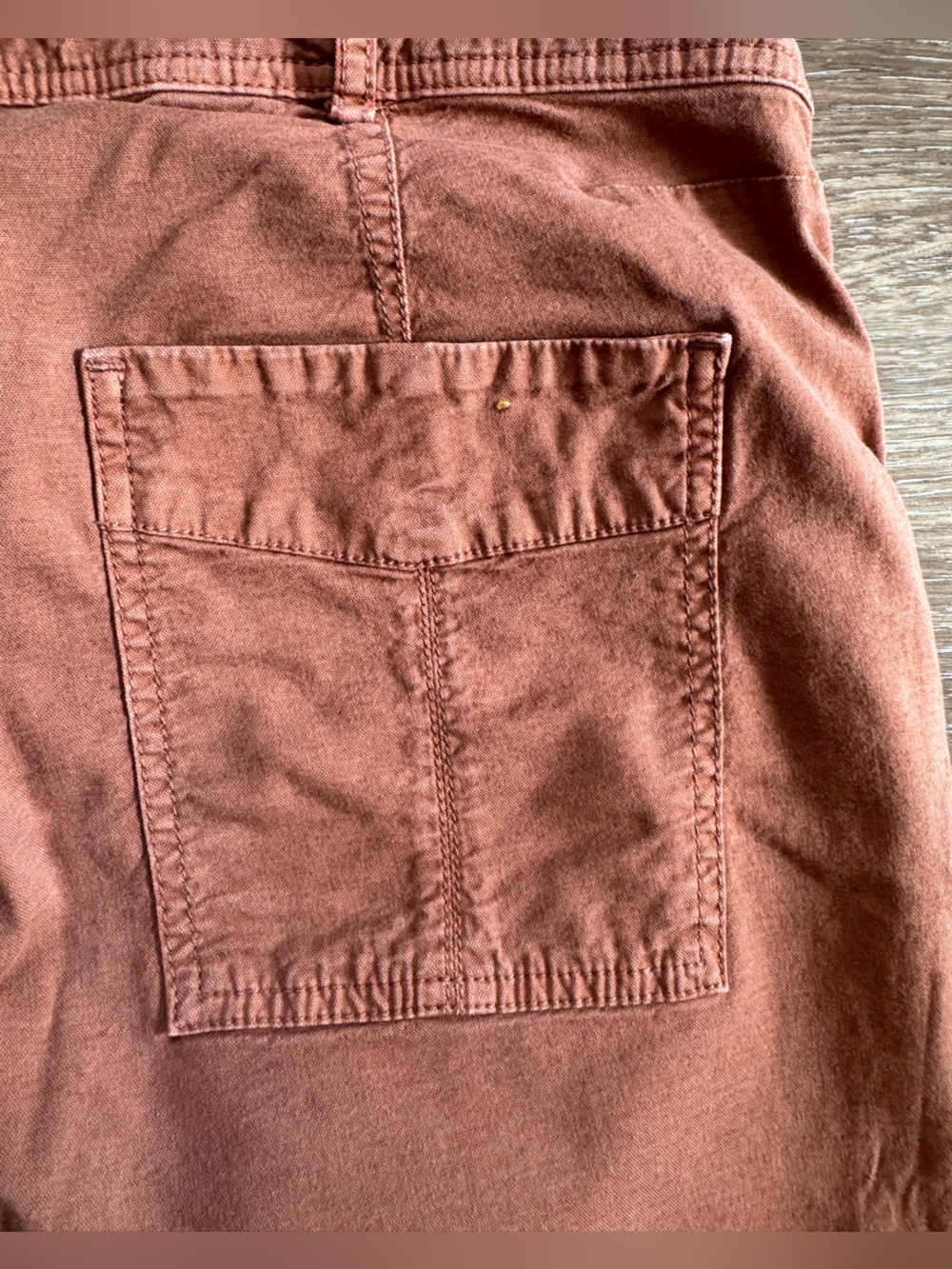 Anthropologie The Wanderer Pants in Burnt Sienna Sz 30 - Picture 11 of 13